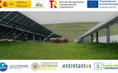 Pastoreo-FV, un proyecto para investigar el potencial uso ganadero en plantas fotovoltaicas de Extremadura