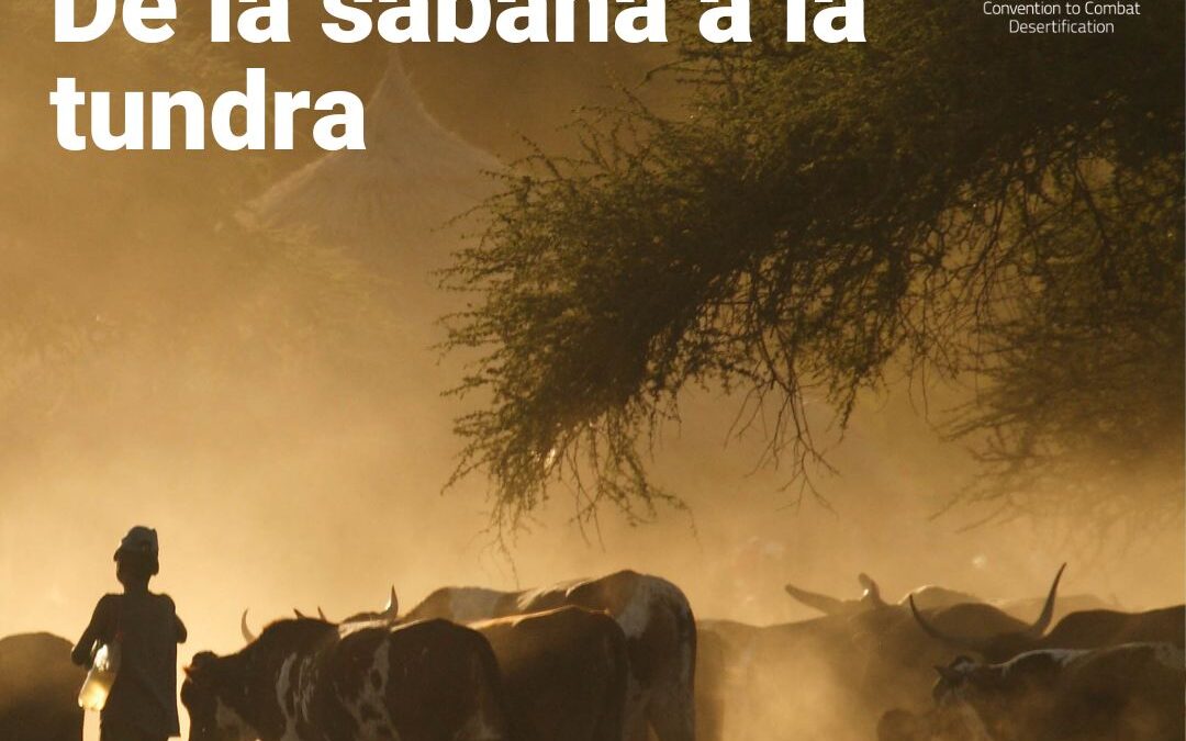 Entretantos participa en la elaboración del informe «Perspectivas Mundiales de la Tierra sobre pastizales y pastores» de las Naciones Unidas