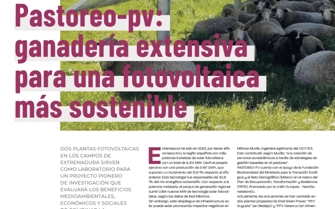 Pastoreo-PV: ganadería extensiva para una fotovoltaica más sostenible