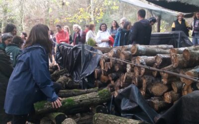 IV ENCUENTRO DE LA RED SOMOS COMUNERAS: Reflexiones, paseos y creaciones compartidas para seguir reforzando la participación de las mujeres en los espacios de decisión de nuestros sistemas comunales