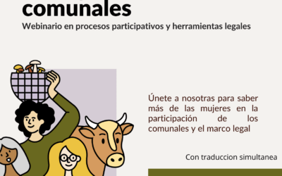 Webinario “El derecho a participar. De la comunidad a las herramientas legales en la gobernanza de los comunales”